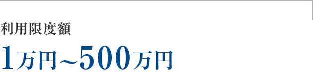 利用限度額